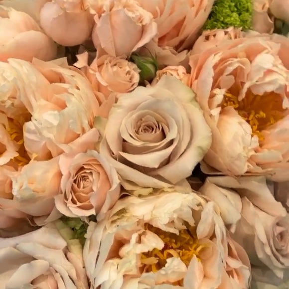 MEET YOUR POSHER - Picture 1 of 1